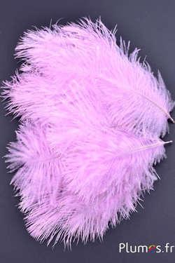 Struzzo barbules - 8-15 cm - rosso